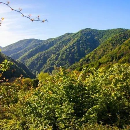 Araste Tas Konak Villa Kizilkaya