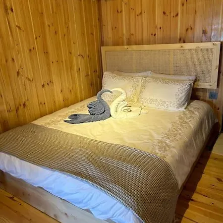 Araste Tas Konak Villa *