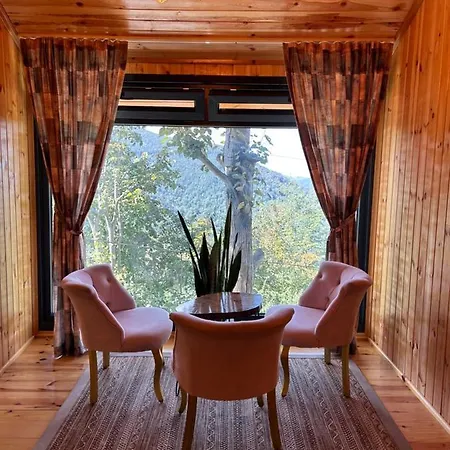 Araste Tas Konak Villa *