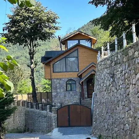 Araste Tas Konak