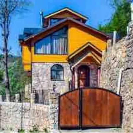 Villa Araste Tas Konak