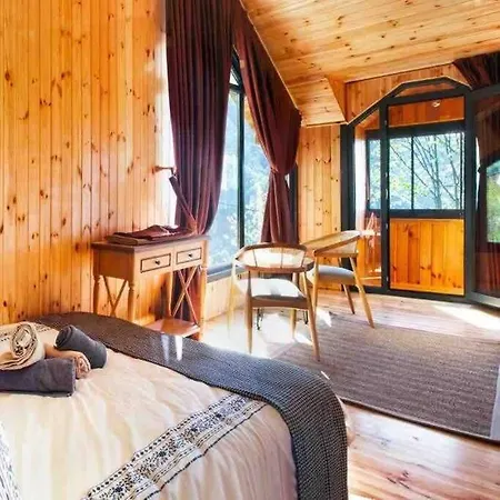 Araste Tas Konak Villa