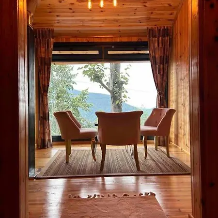 Villa Araste Tas Konak *