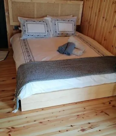 Villa Araste Tas Konak