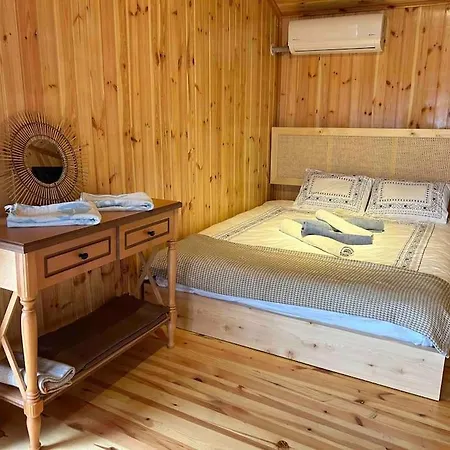 Villa Araste Tas Konak *